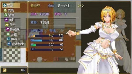 诅咒铠甲灵魔女传奇4.0下载  v4.0图1