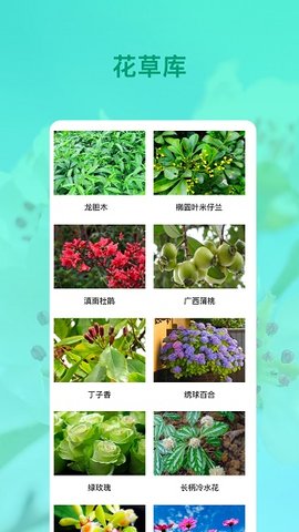 花卉识别  v3.0.1图2