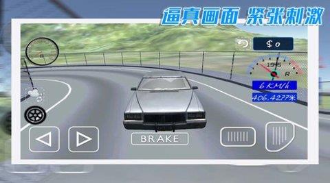 酷玩汽车驾驶  v1.0.2图1