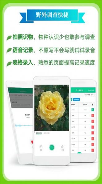 北极花生物调查  v1.2.5图3