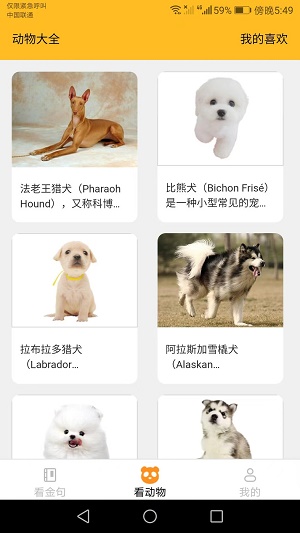 口袋乐看手机版  v1.6.0图2