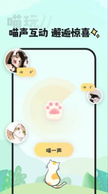 喵丸app  v1.0.0图2