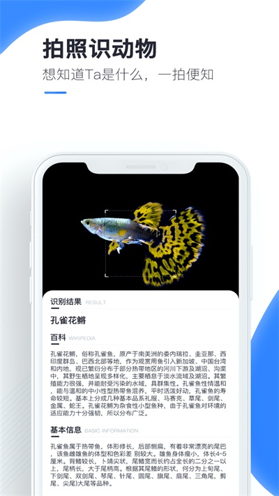 百科扫描王下载安装手机版  v1.0.0图1