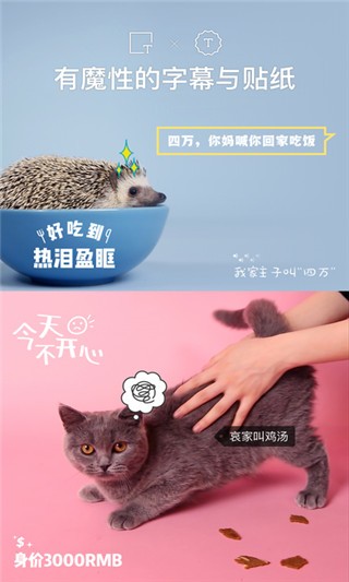 猫饼2023  v2.0.0图1