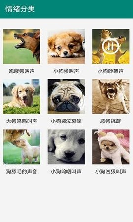 汪汪狗语翻译  v13.0图2