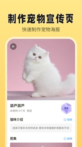 猫老板  v2.8.0图2