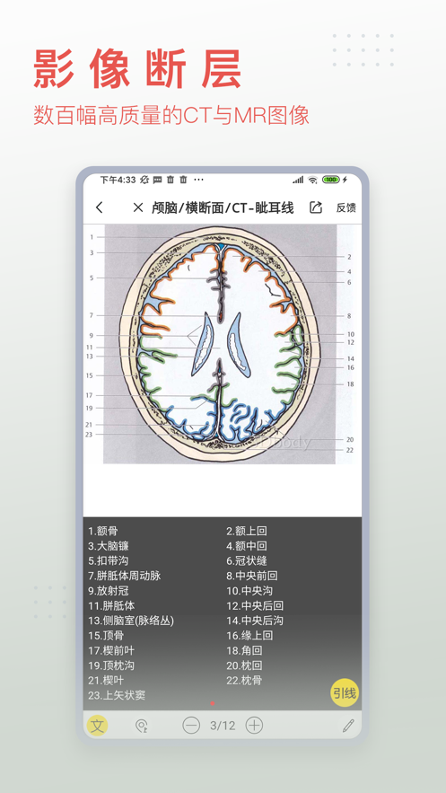 3Dbody解剖最新版  v8.7.23图3