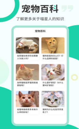 猫叫翻译机  v2.5.1图1