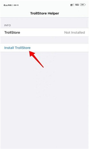 TrollStore巨魔商店ios16.6  v1.0图1