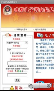 全国交通违章查询  v3.2.0图4