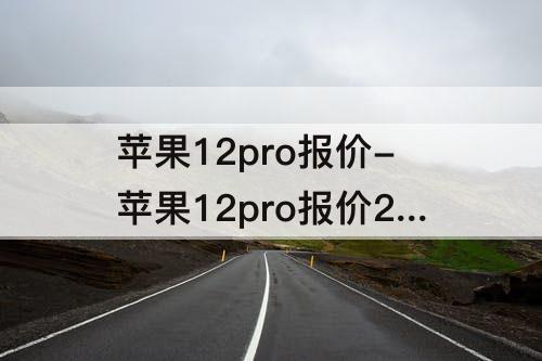 苹果12pro报价-苹果12pro报价256