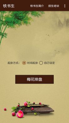 铁书生梅花  v1.0图1