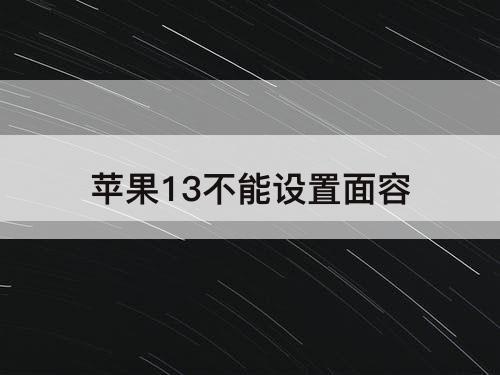 苹果13不能设置面容