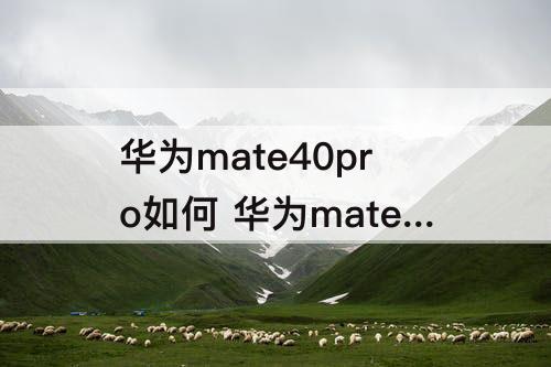 华为mate40pro如何 华为mate40pro如何扫描文件