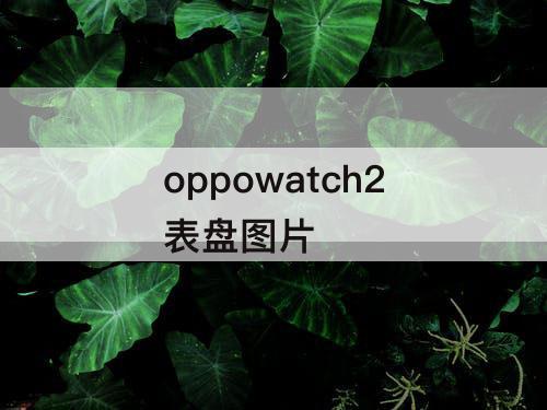 oppowatch2表盘图片