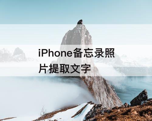 iPhone备忘录照片提取文字