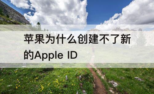 苹果为什么创建不了新的Apple ID