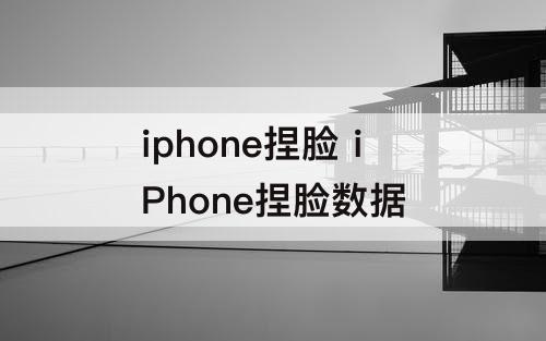 iphone捏脸 iPhone捏脸数据