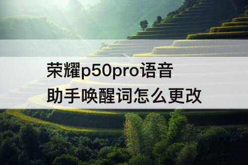 荣耀p50pro语音助手唤醒词怎么更改