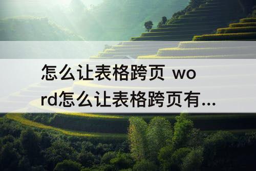 怎么让表格跨页 word怎么让表格跨页有边框