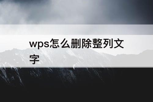 wps怎么删除整列文字