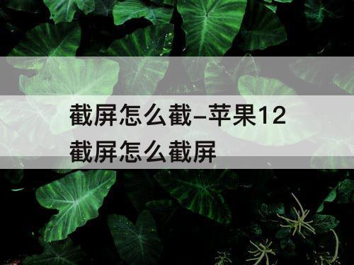 截屏怎么截-苹果12截屏怎么截屏