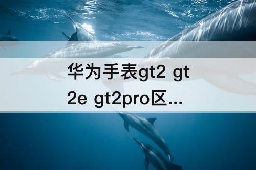 华为手表gt2 gt2e gt2pro区别