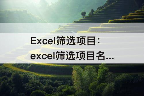 Excel筛选项目：excel筛选项目名称怎么修改