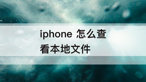 iphone 怎么查看本地文件