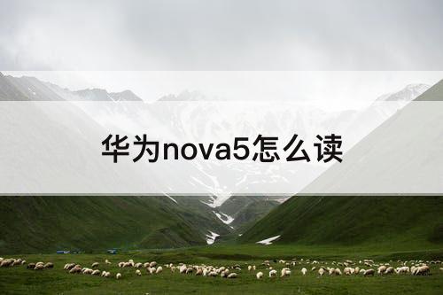 华为nova5怎么读