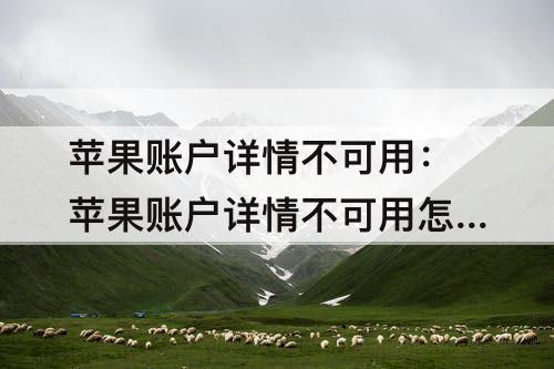 苹果账户详情不可用：苹果账户详情不可用怎么弄