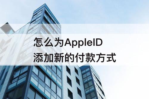 怎么为AppleID添加新的付款方式