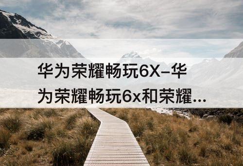 华为荣耀畅玩6X-华为荣耀畅玩6x和荣耀6x有什么区别