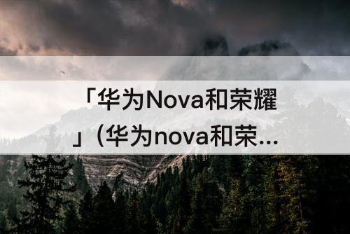 「华为Nova和荣耀」(华为nova和荣耀80pro哪个好)