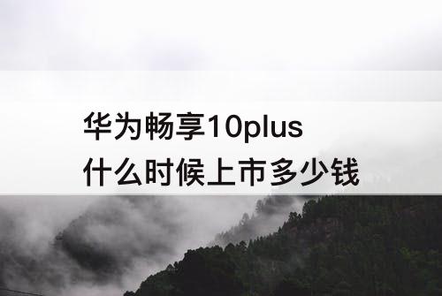 华为畅享10plus什么时候上市多少钱