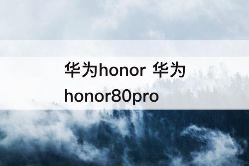 华为honor 华为honor80pro