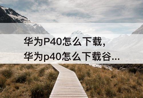 华为P40怎么下载，华为p40怎么下载谷歌框架