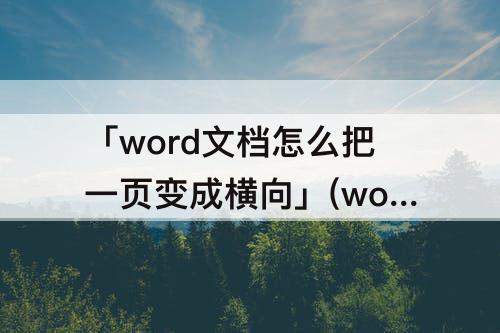 「word文档怎么把一页变成横向」(word文档怎么把一页变成横向加竖排)