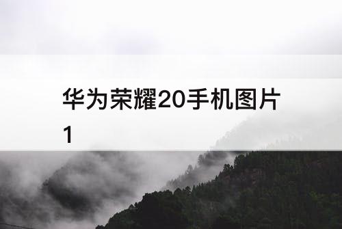 华为荣耀20手机图片1