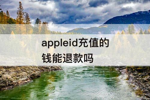 appleid充值的钱能退款吗