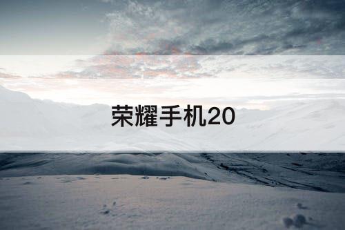 荣耀手机20