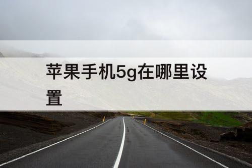 苹果手机5g在哪里设置