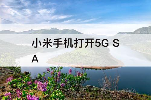 小米手机打开5G SA