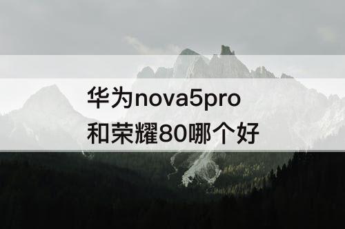 华为nova5pro和荣耀80哪个好