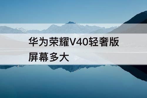 华为荣耀V40轻奢版屏幕多大