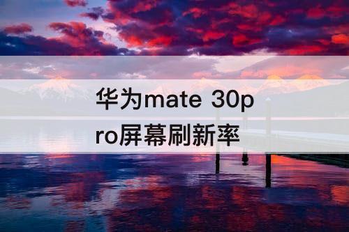 华为mate 30pro屏幕刷新率