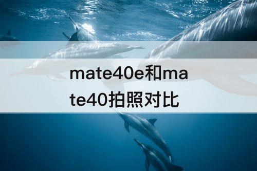 mate40e和mate40拍照对比