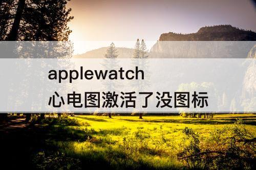 applewatch心电图激活了没图标