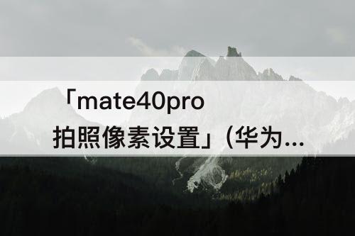 「mate40pro拍照像素设置」(华为mate40pro拍照像素设置)