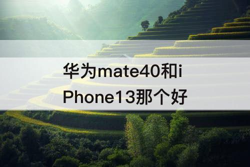 华为mate40和iPhone13那个好